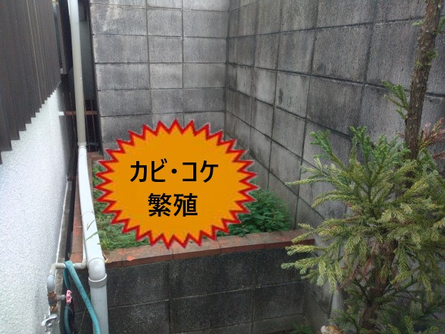 ブロック塀黒ずみ　カビやコケの繁殖